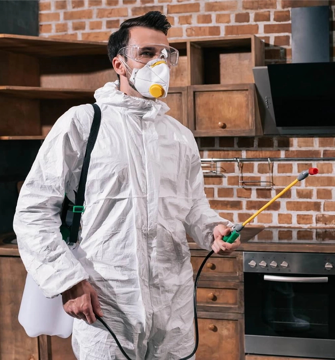 We use safe and environmentally friendly measures.