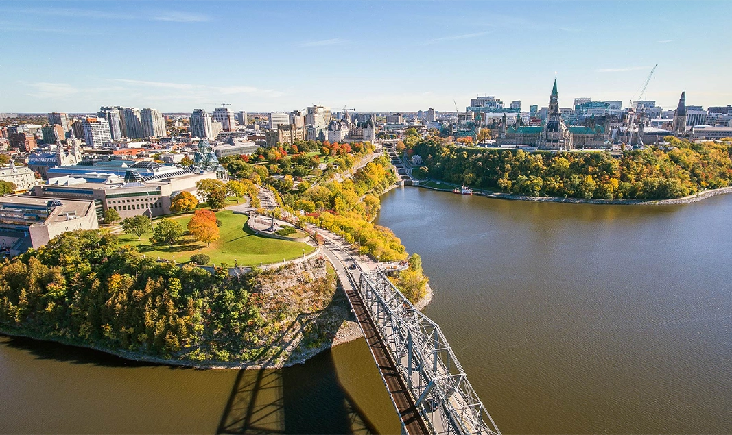 Pest Control in Ottawa